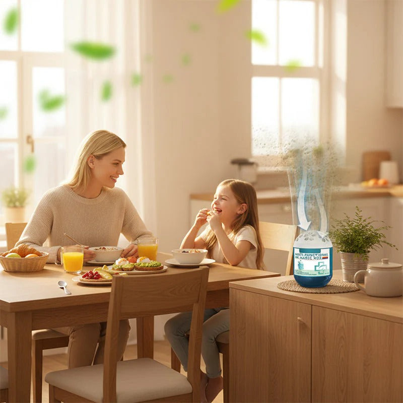 🔥 2026 New Collection - Limited -Time Pre-Sale⏰ Indoor Air Purification Dust Removal Magic Box