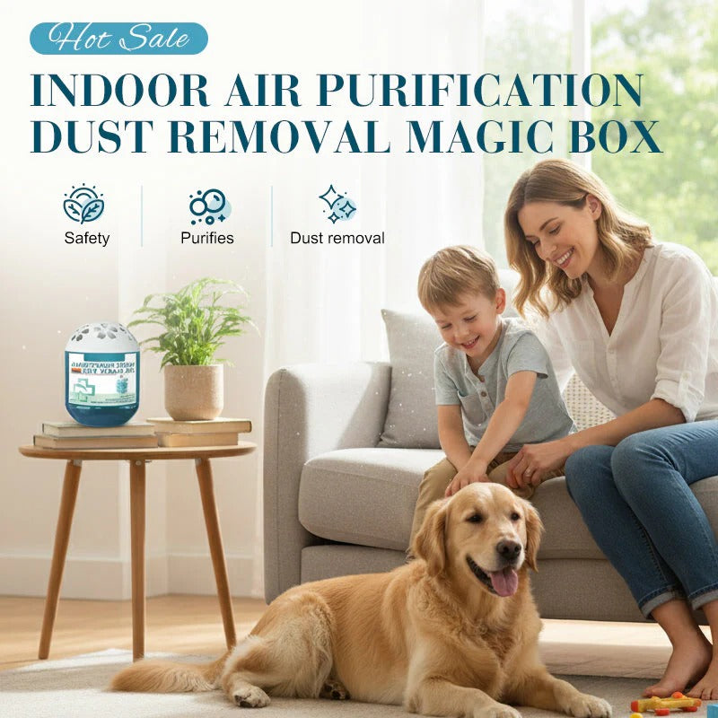 🔥 2026 New Collection - Limited -Time Pre-Sale⏰ Indoor Air Purification Dust Removal Magic Box