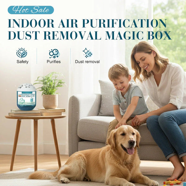 🔥 2026 New Collection - Limited -Time Pre-Sale⏰ Indoor Air Purification Dust Removal Magic Box